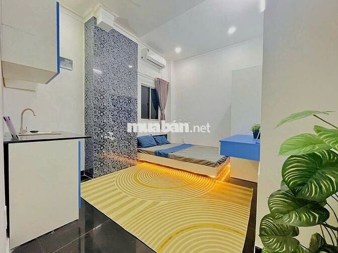 CHDV SUTIO cửa sổ trời rộng 30m2 đi bộ tới KHTN Sư phạm đh Sài gòn