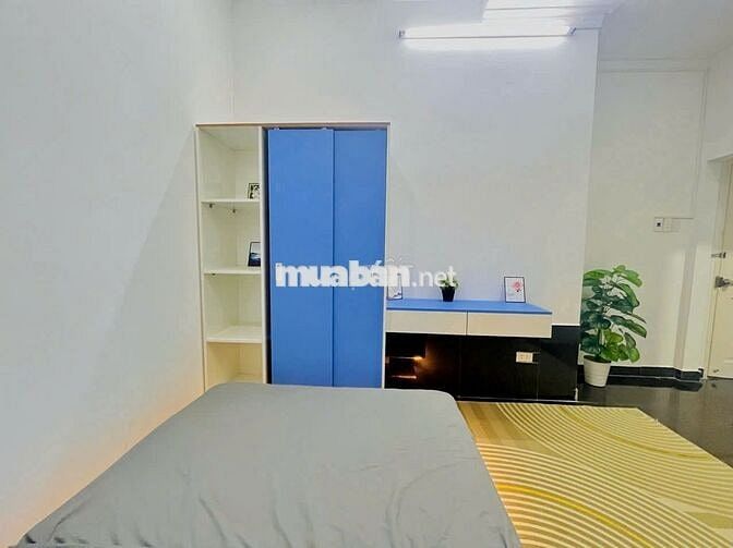 CHDV SUTIO cửa sổ trời rộng 30m2 đi bộ tới KHTN Sư phạm đh Sài gòn
