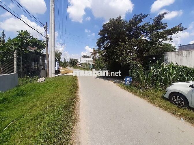 KẸT TIỀN! Bán đất Đường Số 49, Tân Thông Hội, Củ Chi 446m2 Giá 8,5tr/m