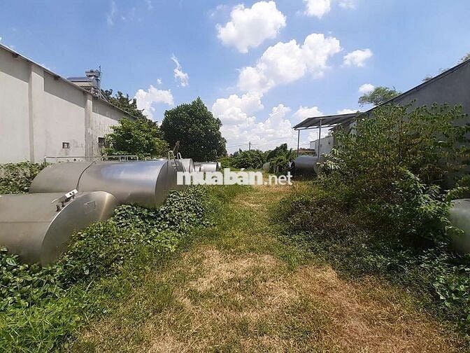 KẸT TIỀN! Bán đất Đường Số 49, Tân Thông Hội, Củ Chi 446m2 Giá 8,5tr/m