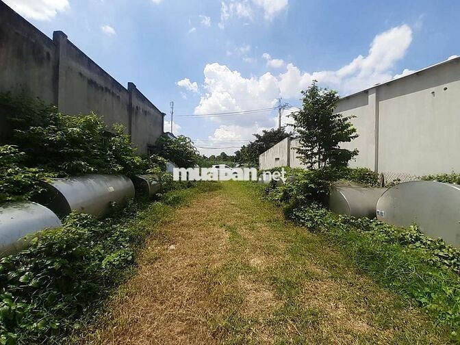 KẸT TIỀN! Bán đất Đường Số 49, Tân Thông Hội, Củ Chi 446m2 Giá 8,5tr/m