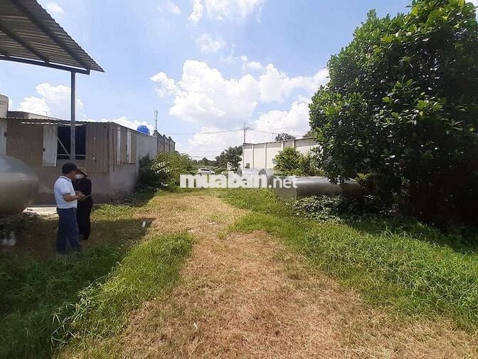 KẸT TIỀN! Bán đất Đường Số 49, Tân Thông Hội, Củ Chi 446m2 Giá 8,5tr/m