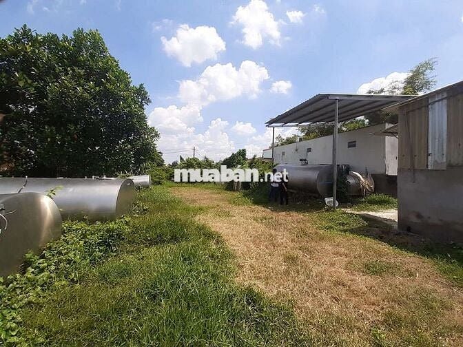 KẸT TIỀN! Bán đất Đường Số 49, Tân Thông Hội, Củ Chi 446m2 Giá 8,5tr/m