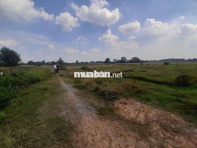 KẸT TIỀN! Bán đất Đường Bờ Kênh, Trung Lập Thượng, Củ Chi 2650m2