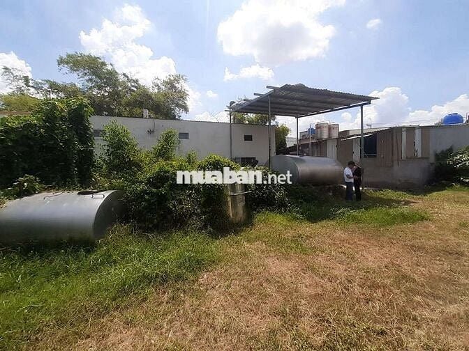 KẸT TIỀN! Bán đất Đường Số 49, Tân Thông Hội, Củ Chi 446m2 Giá 8,5tr/m