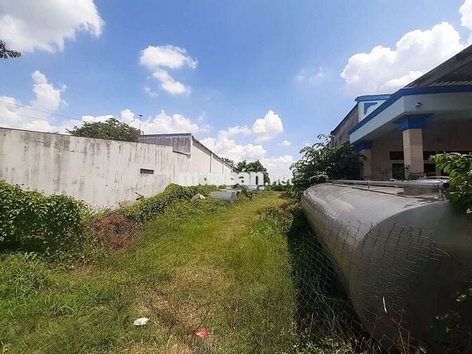 KẸT TIỀN! Bán đất Đường Số 49, Tân Thông Hội, Củ Chi 446m2 Giá 8,5tr/m