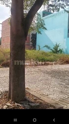 Cho thuê dài hạn đất mặt tiền KCN Tân Đô, Đức Hòa – Giá 20tr/tháng