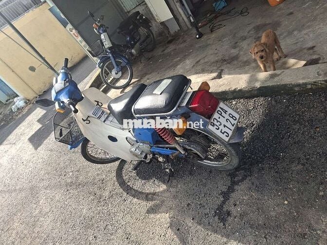 Xe cúp nhật