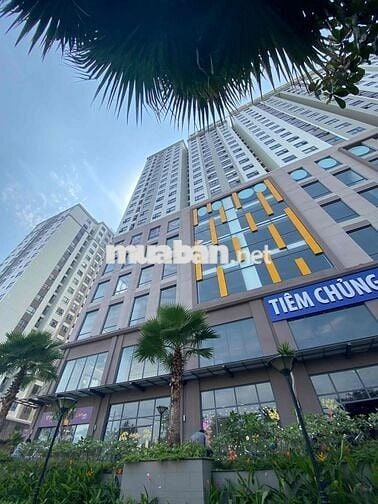 Căn góc 3 phòng ngủ sẵn sổ công chứng ngay