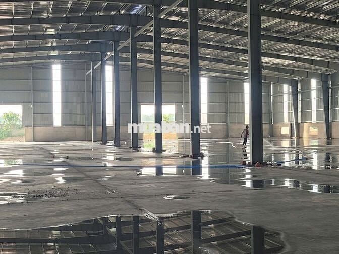 Cho thuê nhà xưởng Đất Cuốc- Bắc Tân Uyên 20000m2