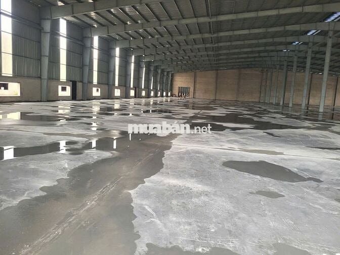 Cho thuê nhà xưởng Đất Cuốc- Bắc Tân Uyên 20000m2
