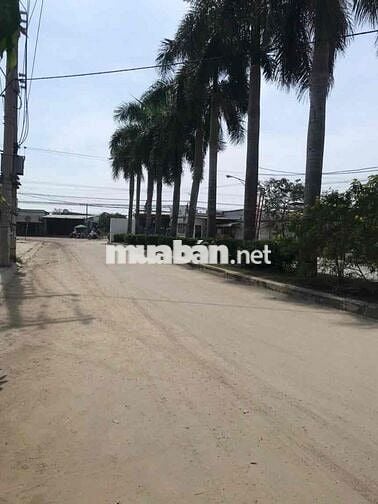 Đất KDC Cát Tường Phú Nguyên 1 - SHR - Hỗ Trợ NH