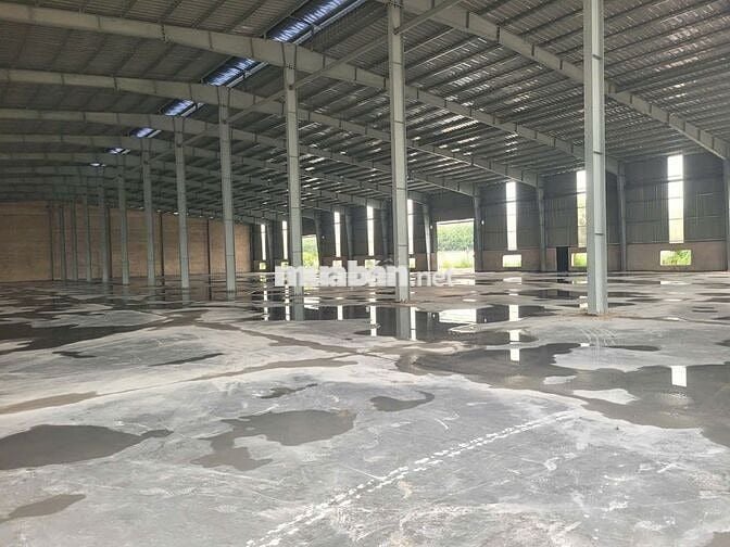 Cho thuê nhà xưởng Đất Cuốc- Bắc Tân Uyên 20000m2