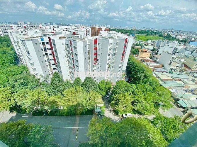 Cho thuê chung cư celadon city