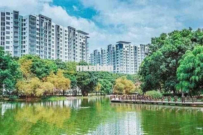 Cho thuê chung cư celadon city