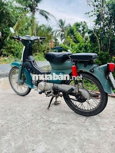 cúp 50cc