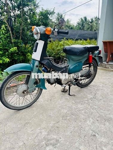 cúp 50cc