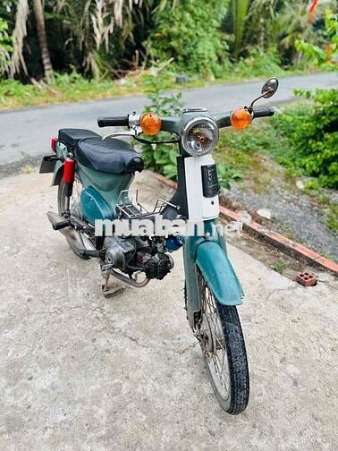 cúp 50cc