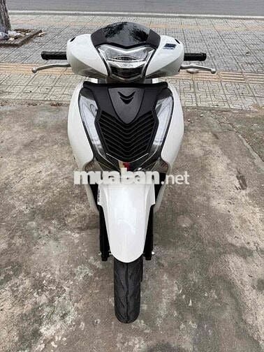 Sh 150 abs