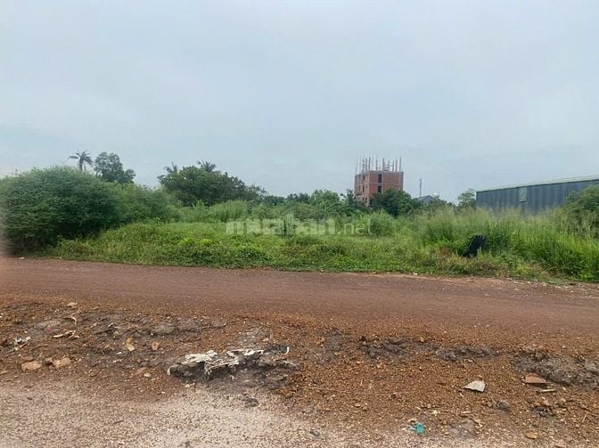 Cần bán Đất An Thạnh, Thuận An Diện tích : 196,5m2