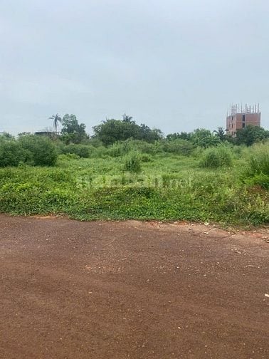 Cần bán Đất An Thạnh, Thuận An Diện tích : 196,5m2