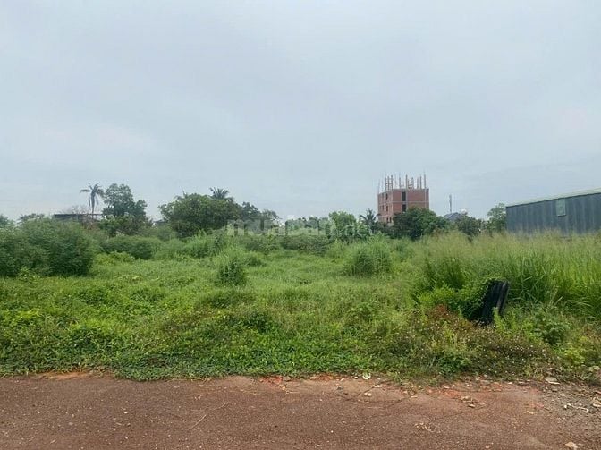 Cần bán Đất An Thạnh, Thuận An Diện tích : 196,5m2