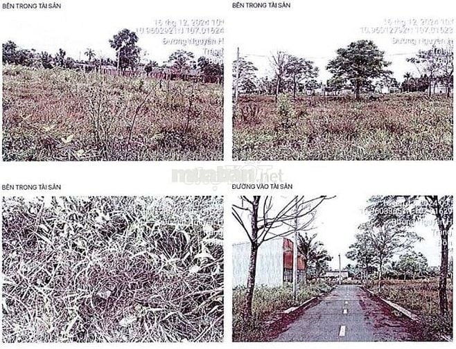 BĐS Xã Sông Trầu, Trảng Bom, Đồng Nai (nay làTrảng Bom, tỉnh Đồng Nai)