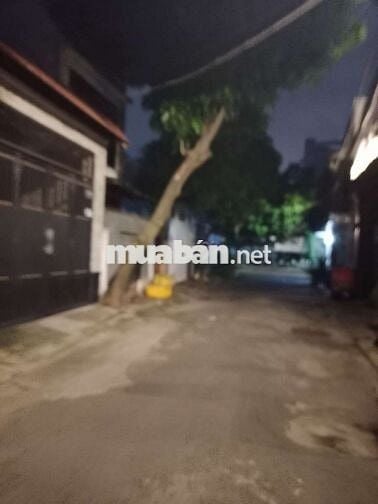 Nhà Gò Vấp trong khu Cao Cấp, Rất Xanh Mát, 72M2, Xe hơi vào nhà