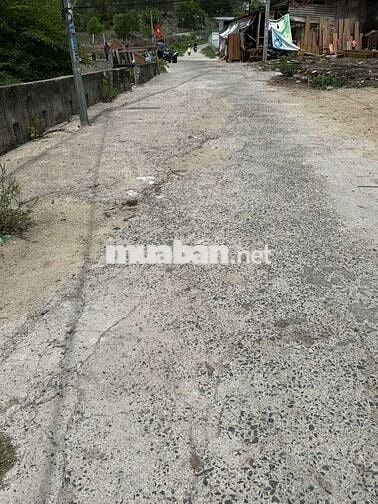 AG CHO THUÊ NHÀ VƯỜN, ĐƯỜNG NGÔ VĂN SỞ, KHU VỰC NÚI CÔ TIÊN