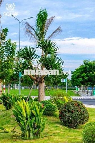 Đất nền sổ hồng riêng, liền kề khu công nghiệp hiện hữu