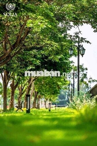 Đất nền sổ hồng riêng, liền kề khu công nghiệp hiện hữu