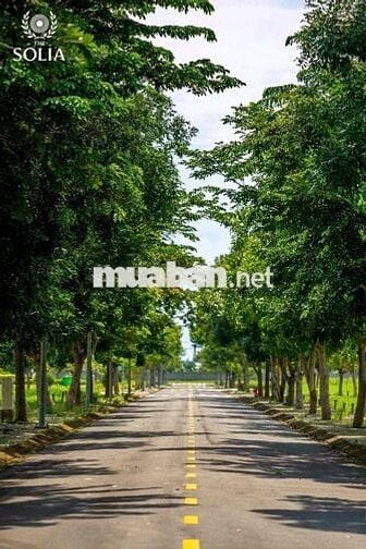 Đất nền sổ hồng riêng, liền kề khu công nghiệp hiện hữu