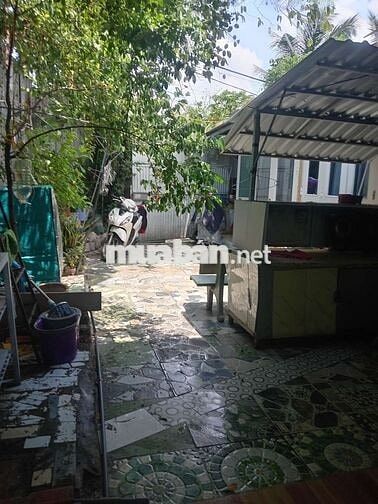 cho thuê nhà nguyên căn hoặt phòng