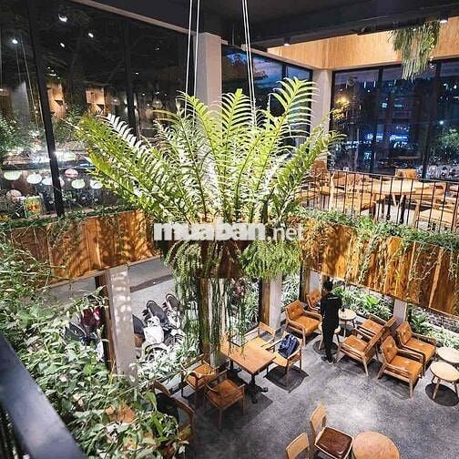 VILLA KẾ ĐH HỒNG BÀNG BÌNH THẠNH NGANG 15M SD ~ 1350M2 CÓ SÂN VƯỜN