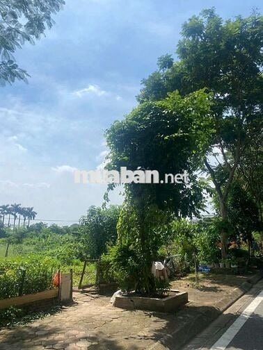 ĐẤT PHÂN LÔ -Ô TÔ TRÁNH -KINH DOANH PHƯỜNG GIANG BIÊN 40M GIÁ 10 TỶ