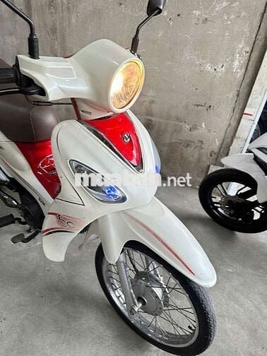 Angela 50cc