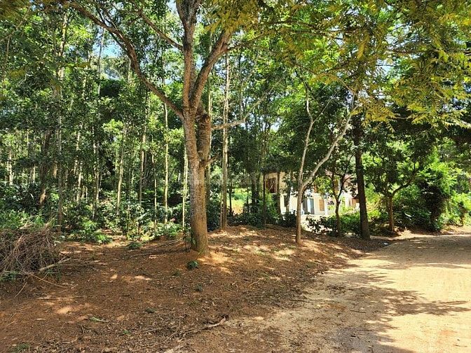 Tiếc quá Đất view hồ lung linh 1000m thoáng mát chính chủ cần bán Hòa 