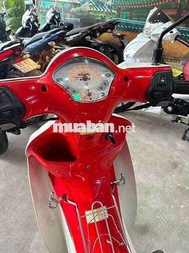 Angela 50cc