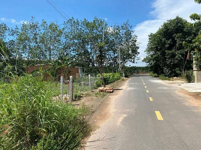 Chú Tám cần bán đất vườn trái cây sẳn nhà cấp 4 ở Bình Dương, rộng 254