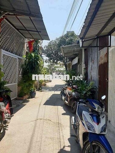 cho thuê nhà gia re 3tr gan trường học