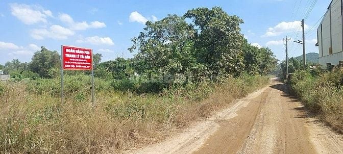 THÔNG BÁO ĐẤU GIÁ TÀI SẢN THEO THỦ TỤC RÚT GỌN