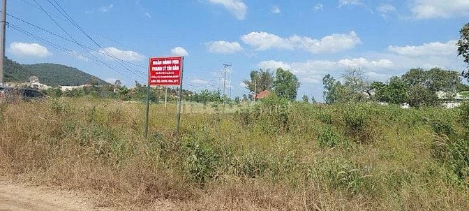THÔNG BÁO ĐẤU GIÁ TÀI SẢN THEO THỦ TỤC RÚT GỌN