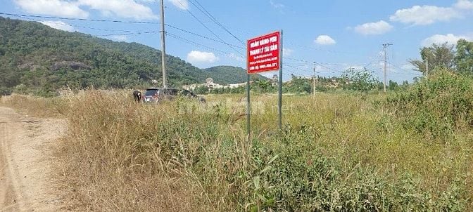 THÔNG BÁO ĐẤU GIÁ TÀI SẢN THEO THỦ TỤC RÚT GỌN