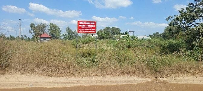 THÔNG BÁO ĐẤU GIÁ TÀI SẢN THEO THỦ TỤC RÚT GỌN