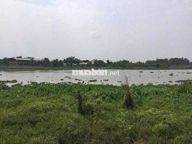 Cần bán lô đất mặt tiền bờ sông Sài Gòn ở Phú Hoà Đông, Củ Chi