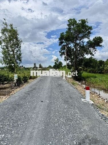 CHÍNH CHỦ BÁN LÔ ĐẤT 1000M2 NHỰA 5M BÌNH LỢI BÌNH CHÁNH GIÁ 2,8TỶ