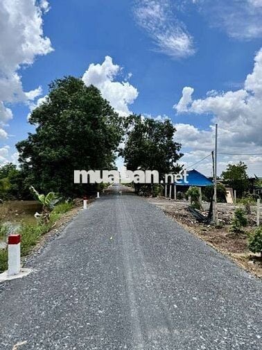 CHÍNH CHỦ BÁN LÔ ĐẤT 1000M2 NHỰA 5M BÌNH LỢI BÌNH CHÁNH GIÁ 2,8TỶ