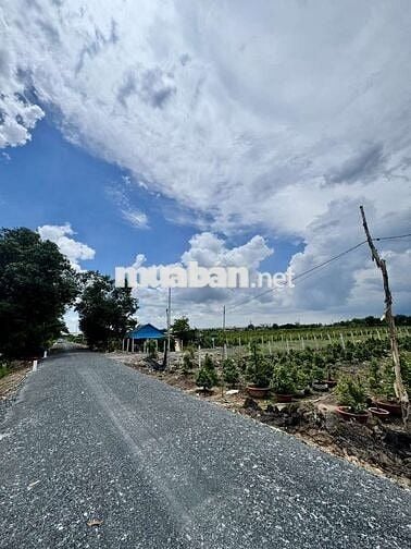 CHÍNH CHỦ BÁN LÔ ĐẤT 1000M2 NHỰA 5M BÌNH LỢI BÌNH CHÁNH GIÁ 2,8TỶ