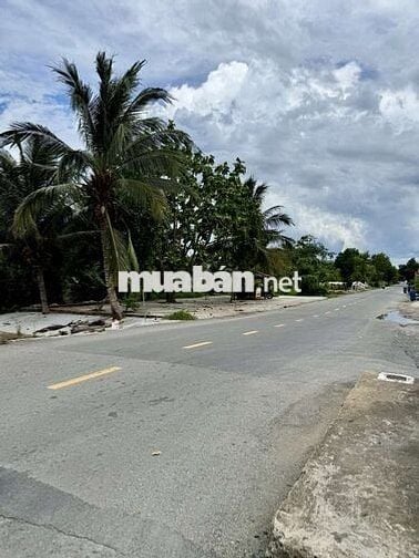 CHÍNH CHỦ BÁN LÔ ĐẤT 1000M2 NHỰA 5M BÌNH LỢI BÌNH CHÁNH GIÁ 2,8TỶ