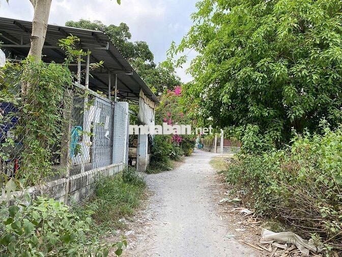 Em cần bán GẤP đất 1/ Lê Thị Dệt 130m2 sau lưng Bệnh viện Củ Chi